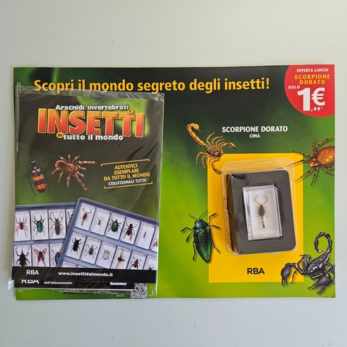 Insetti dal mondo 1 - mondo, nr.1